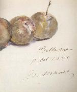Edouard Manet Lettre avec trois prunes (mk40) oil painting artist